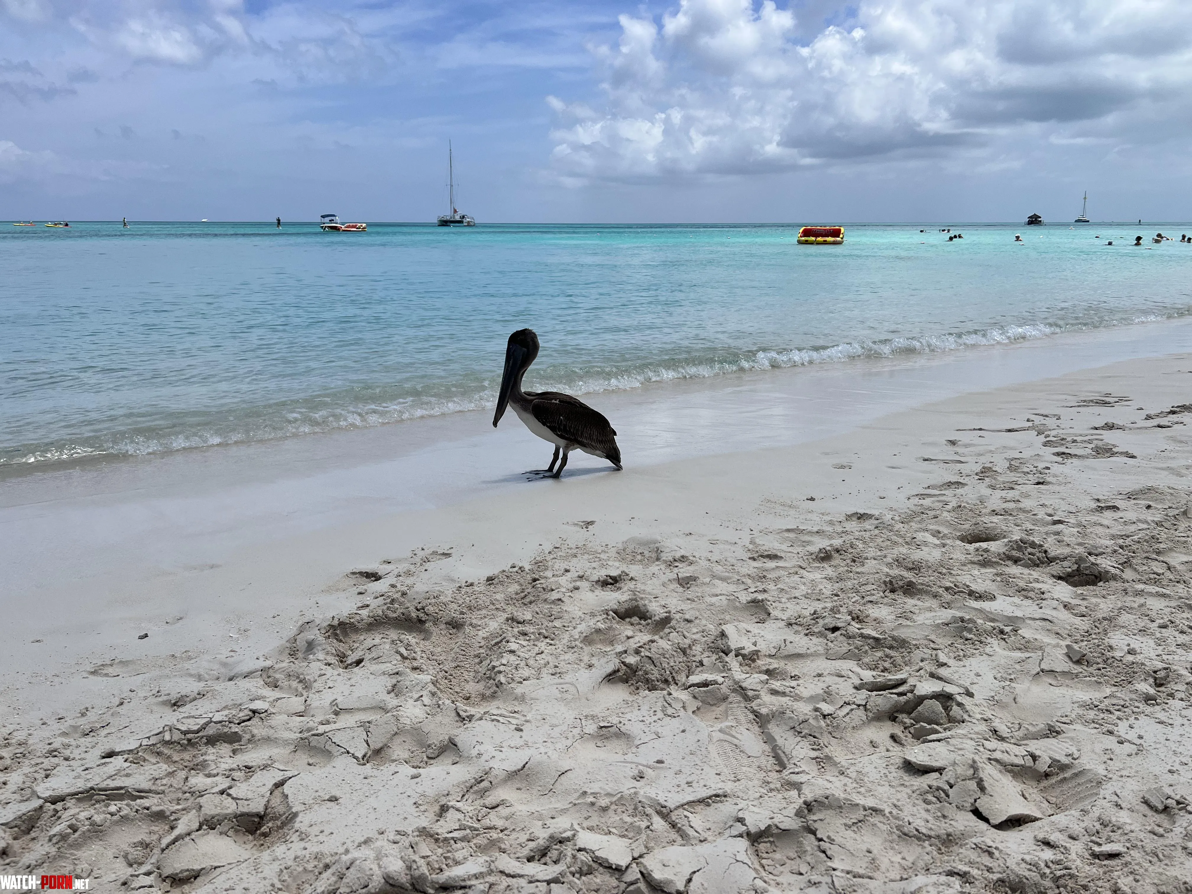 Lovely beach day at Turks and Caicos by BCUSMC69