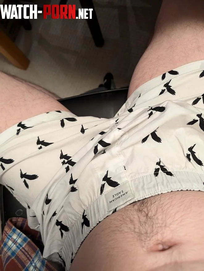 wore boxers to work for the first time today damn theyre comfy by boxersguy23