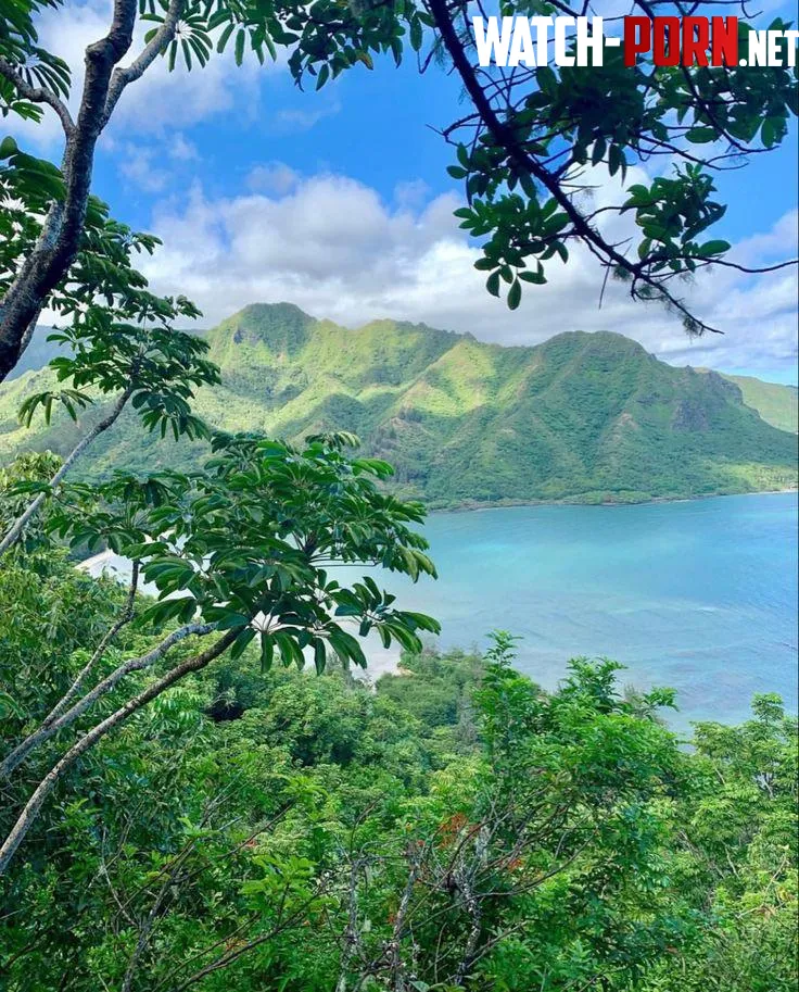 Crouching Lion hikeKaaawaOahuHI by yeuxdusphynx