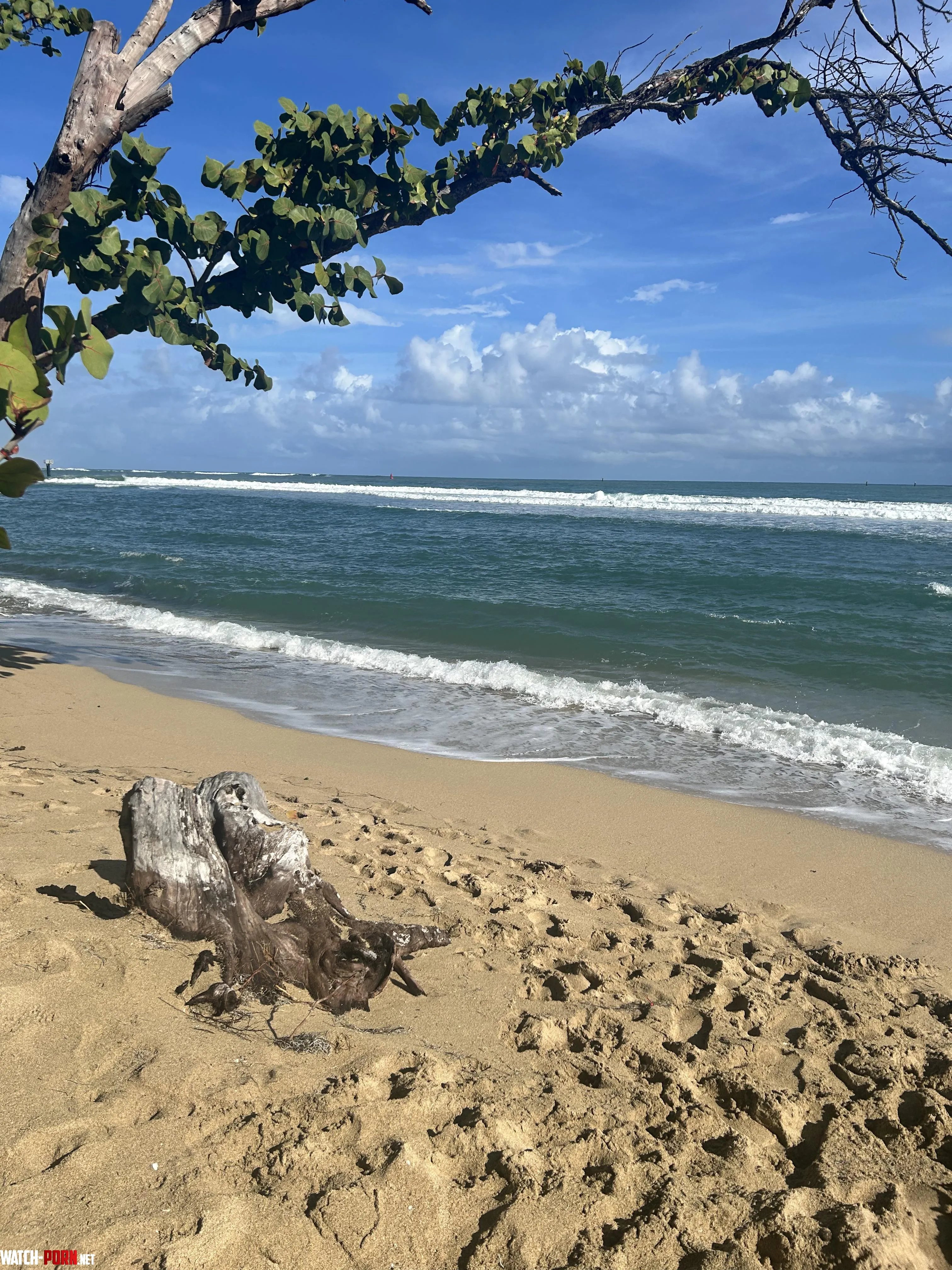 Dominican Beach by ChLyKu