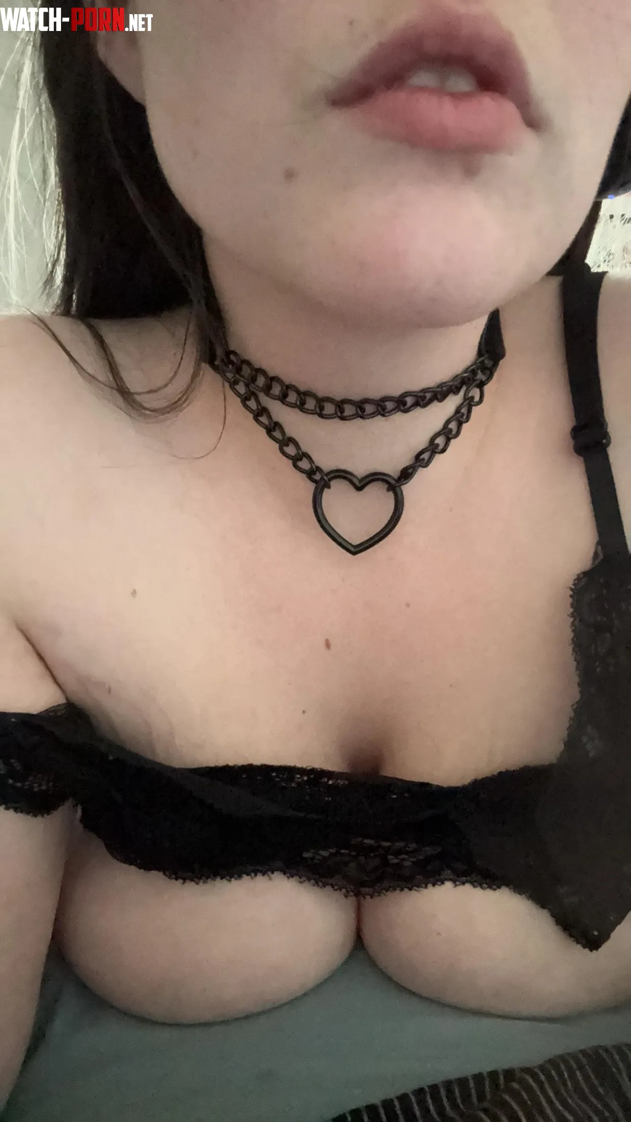 new collar who wants to take my for a walk   by crybbfannypacker