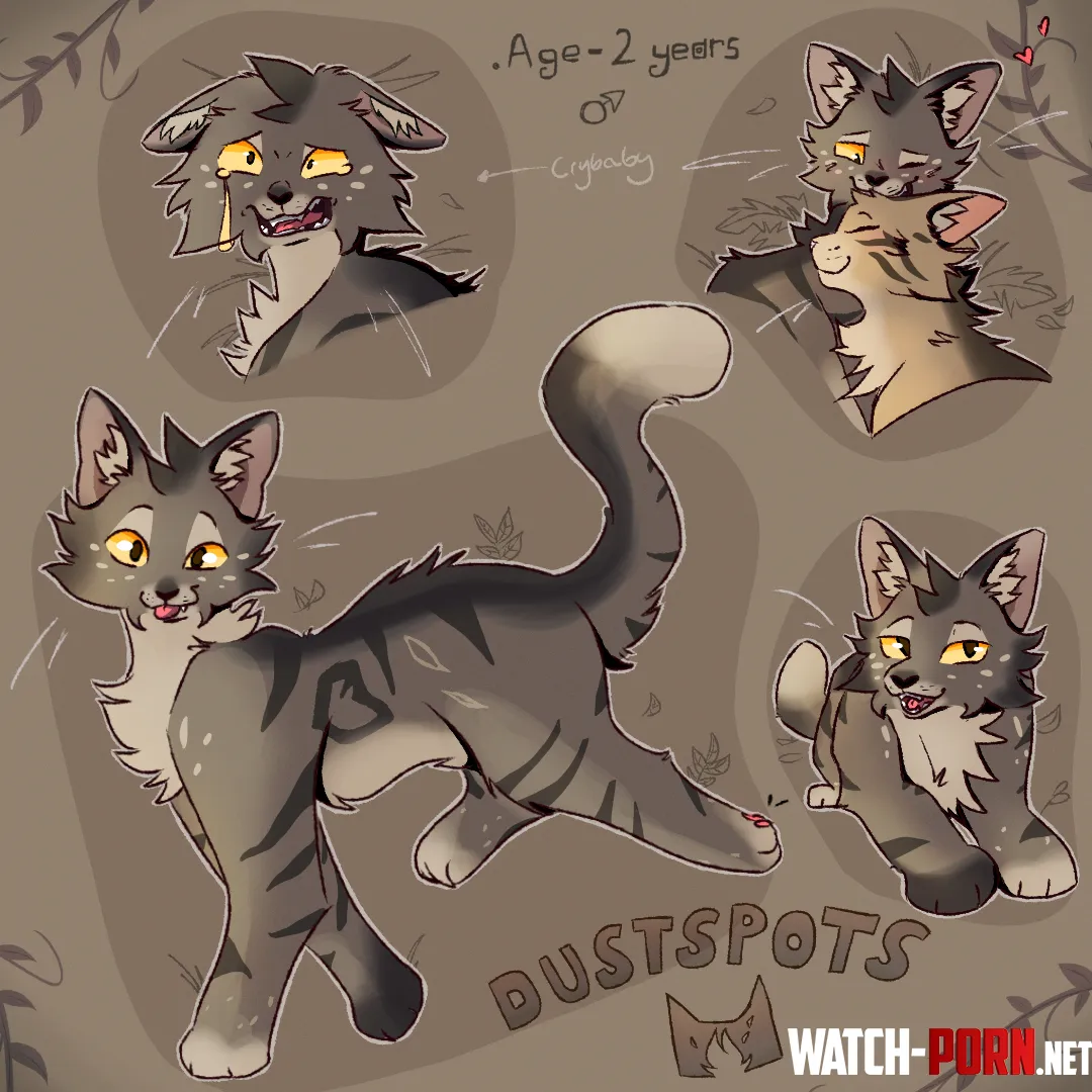 Designed a warrior cats oc 3 by Chips098