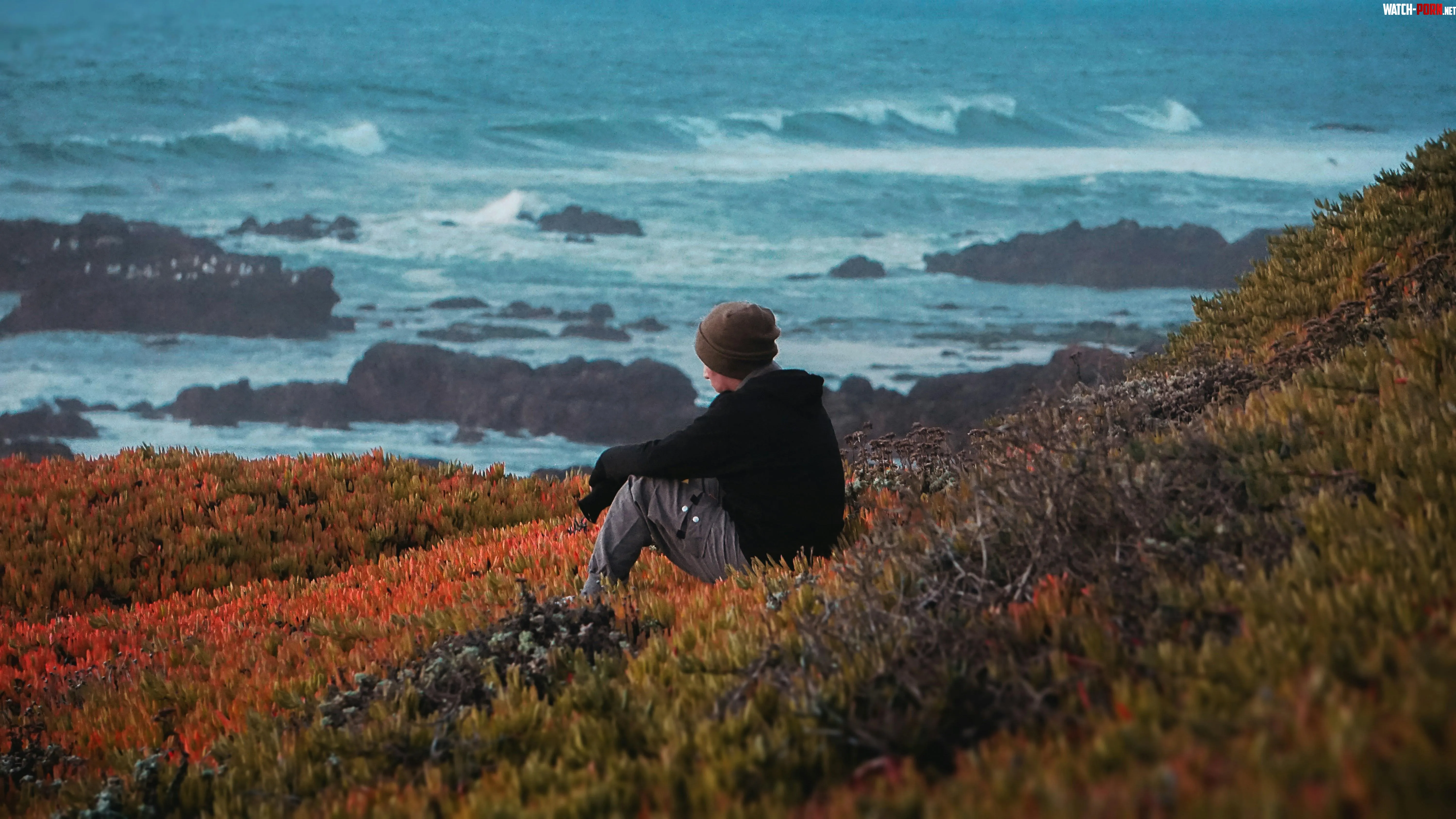 San Gregorio State Beach CA by ok3d