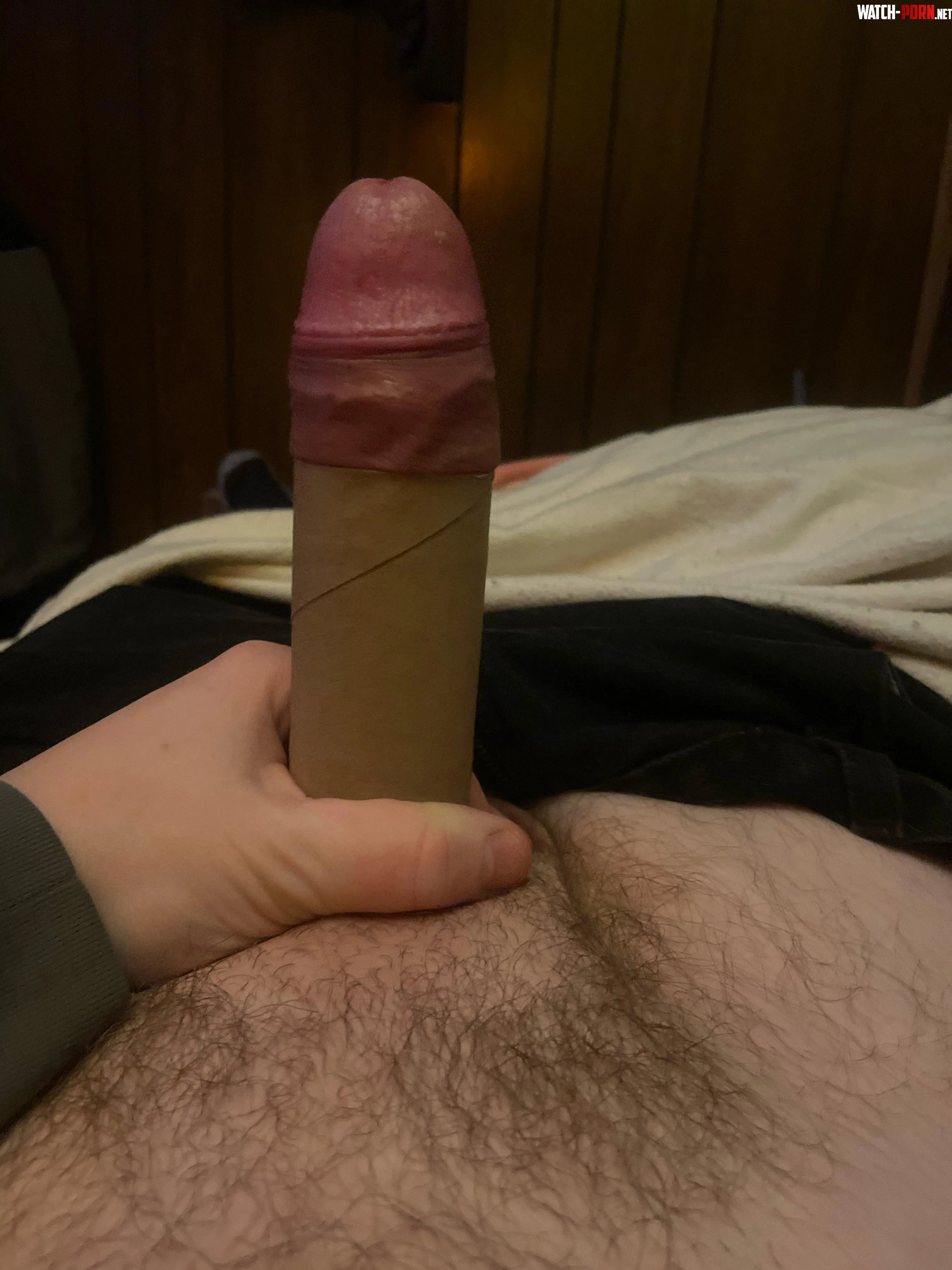 Dick in toilet paper roll by Far_Rise6688