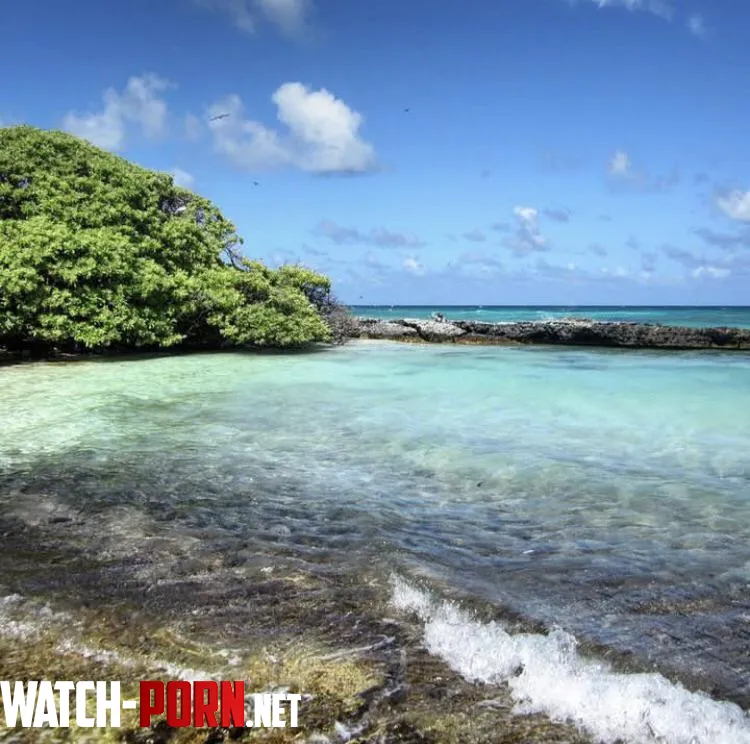 Lisianski Island northwest hawaii by colapepsikinnie