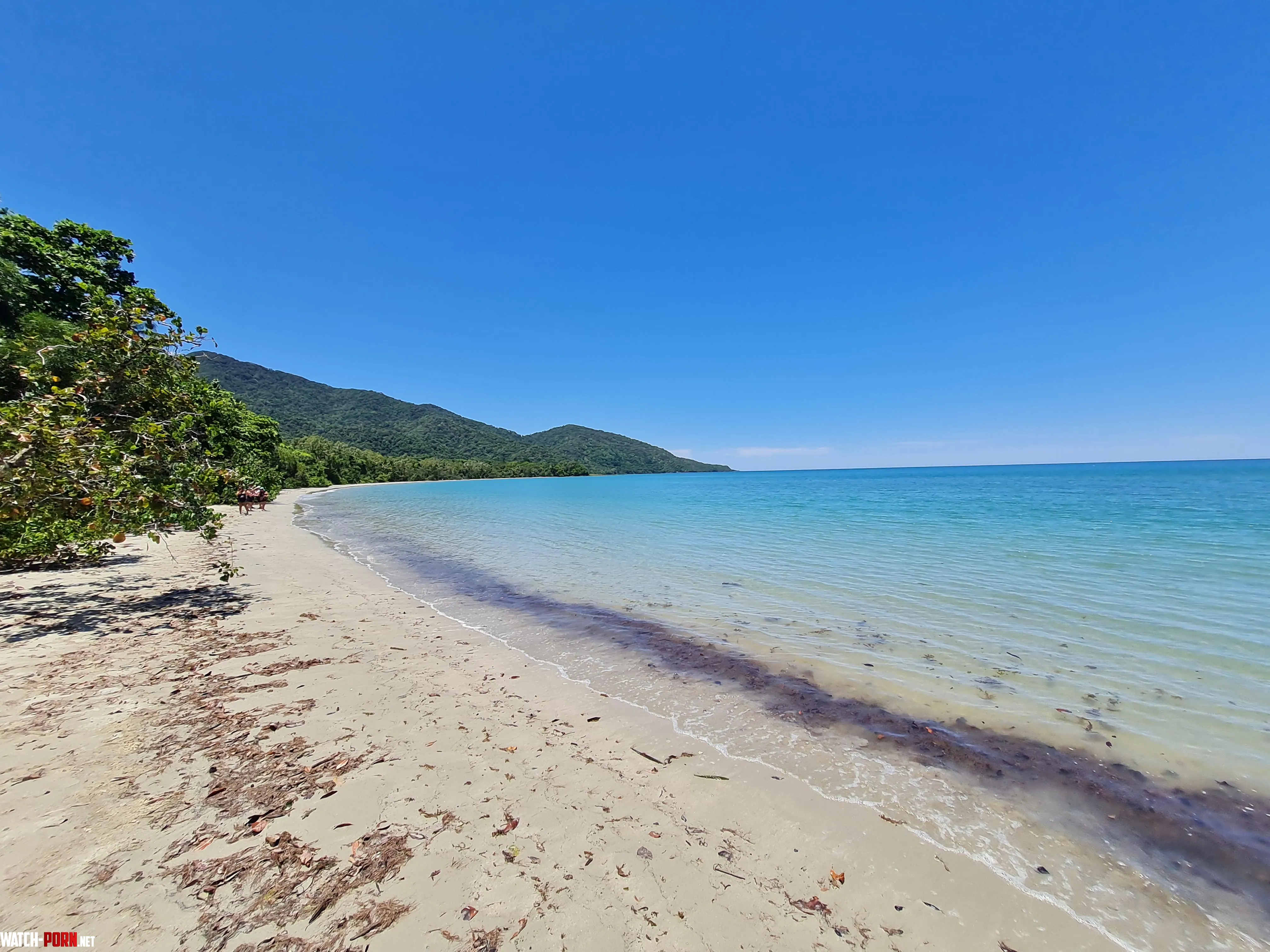 Crocodile Beach Cape Tribulation QLD Aus by Primary_Finding_627