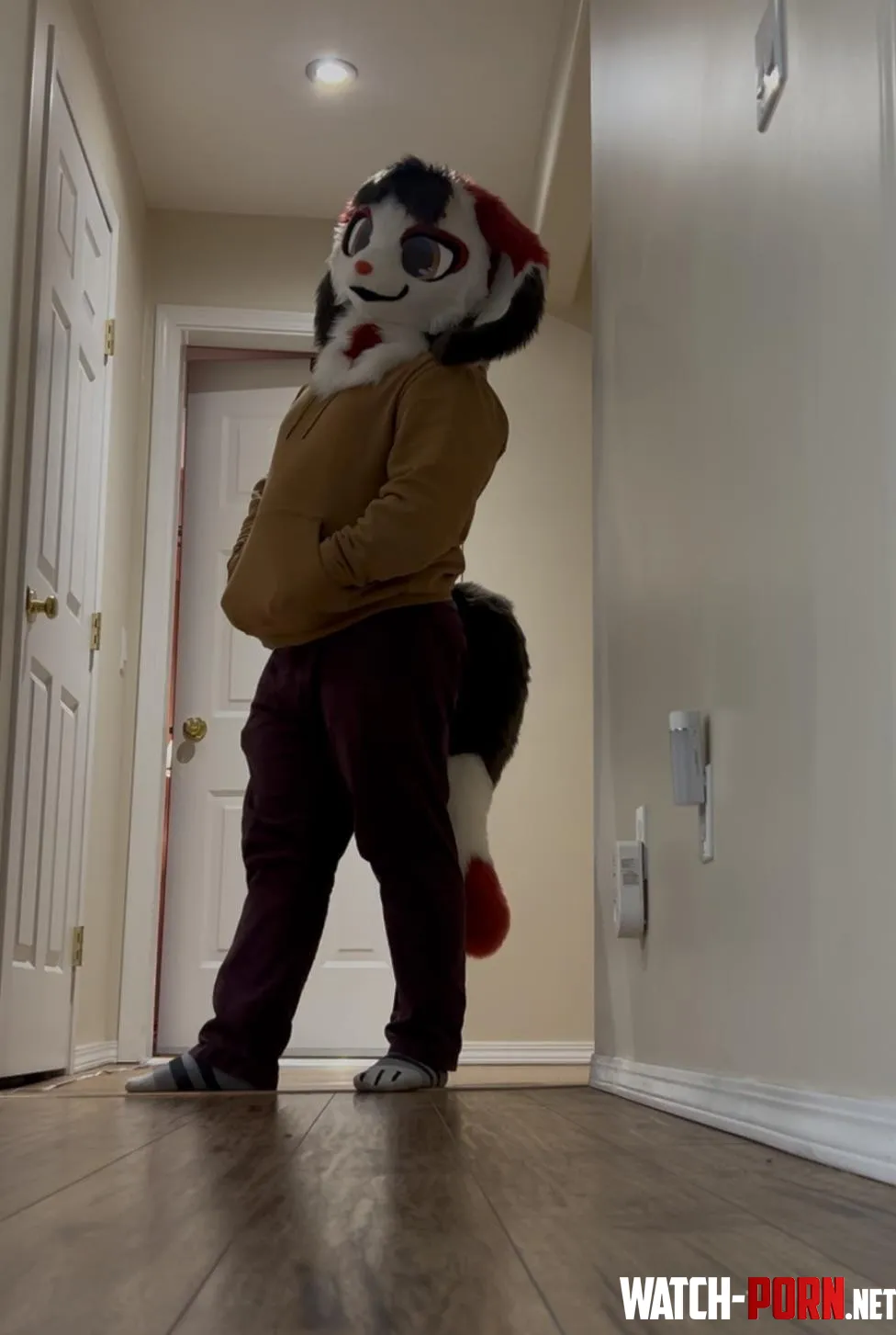 After 11 years of being a furry I finally have a suit 3 by Womkaz