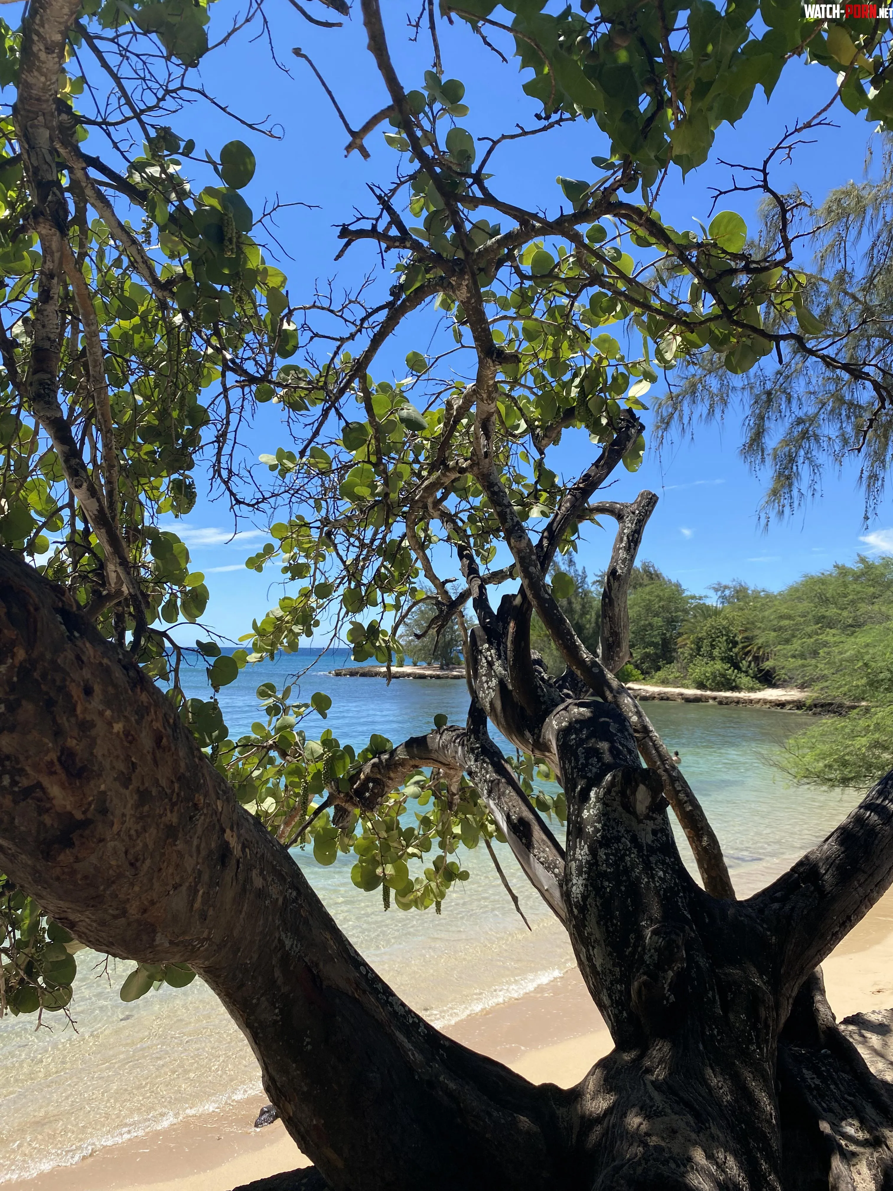 Puaena Point Beach Park Hawaii by truecrimejunkie17