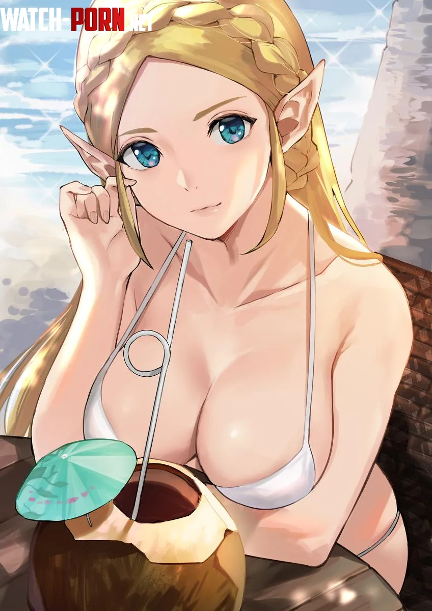 Summer Zelda JCK on Pixiv Breath of the Wild by TheDerpSpoon