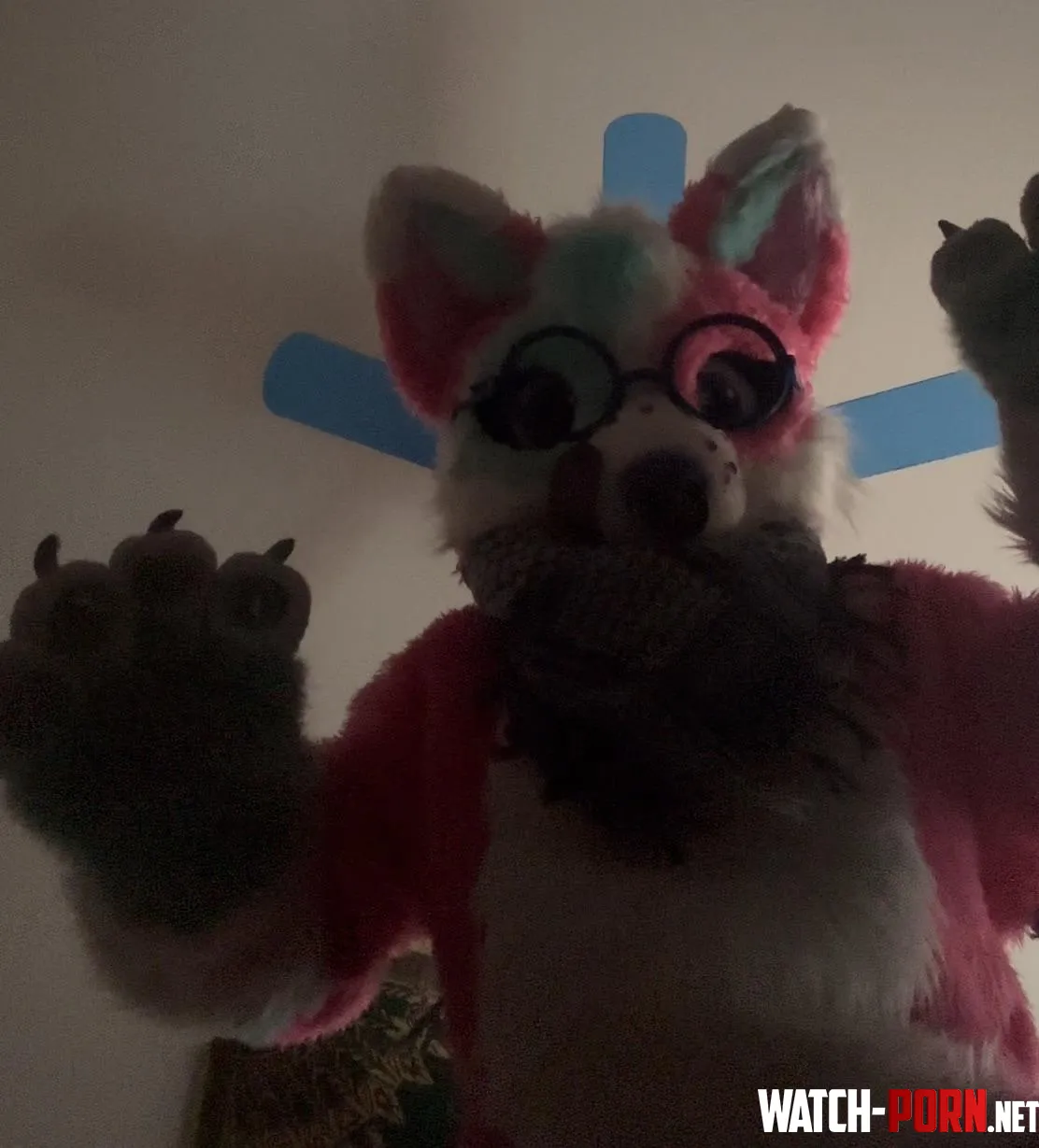 Still sick but happy Fursuit Friday  by Ancient_Summer_1833