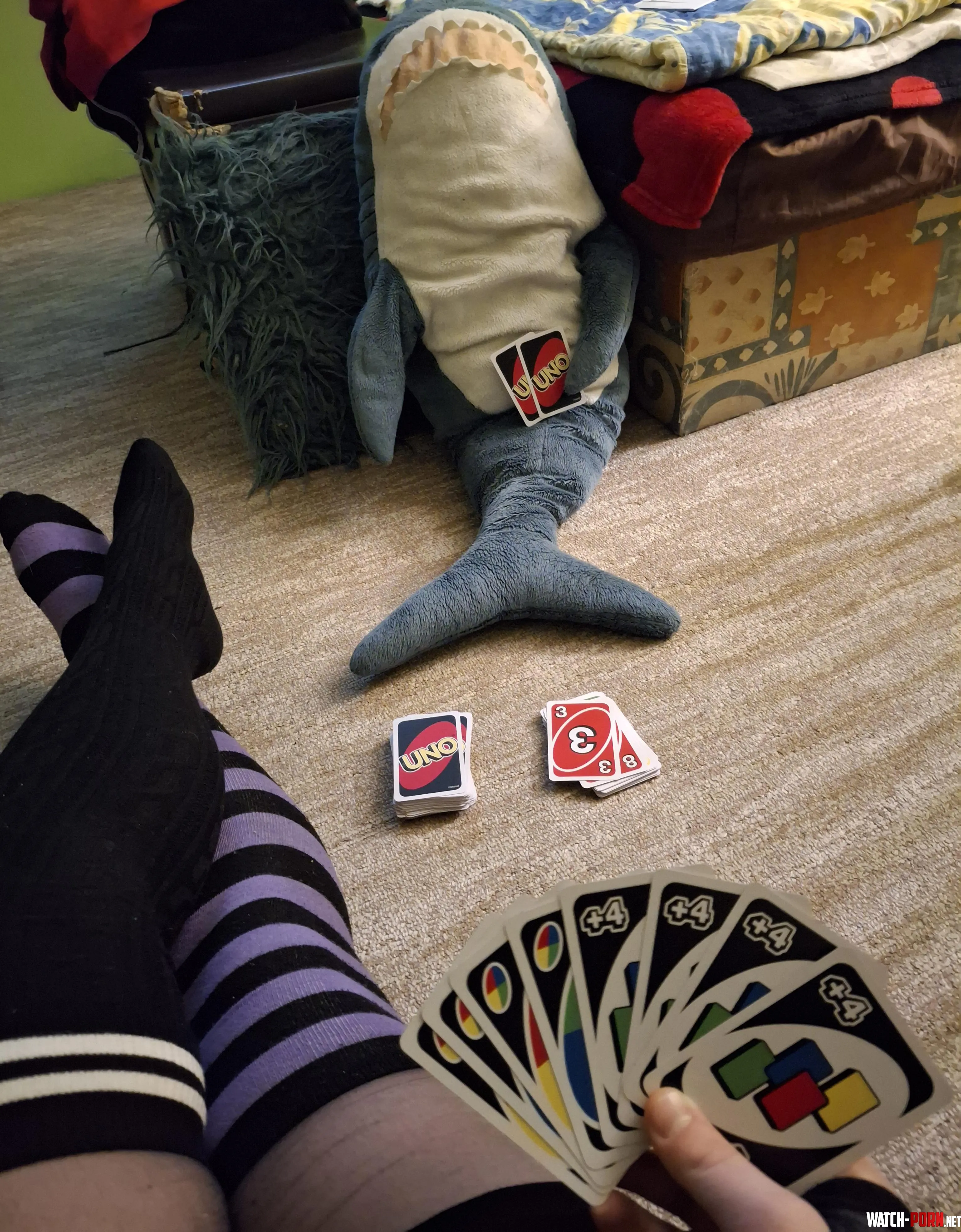 I love playing UNO with my loser shark 3 by andreapurrple