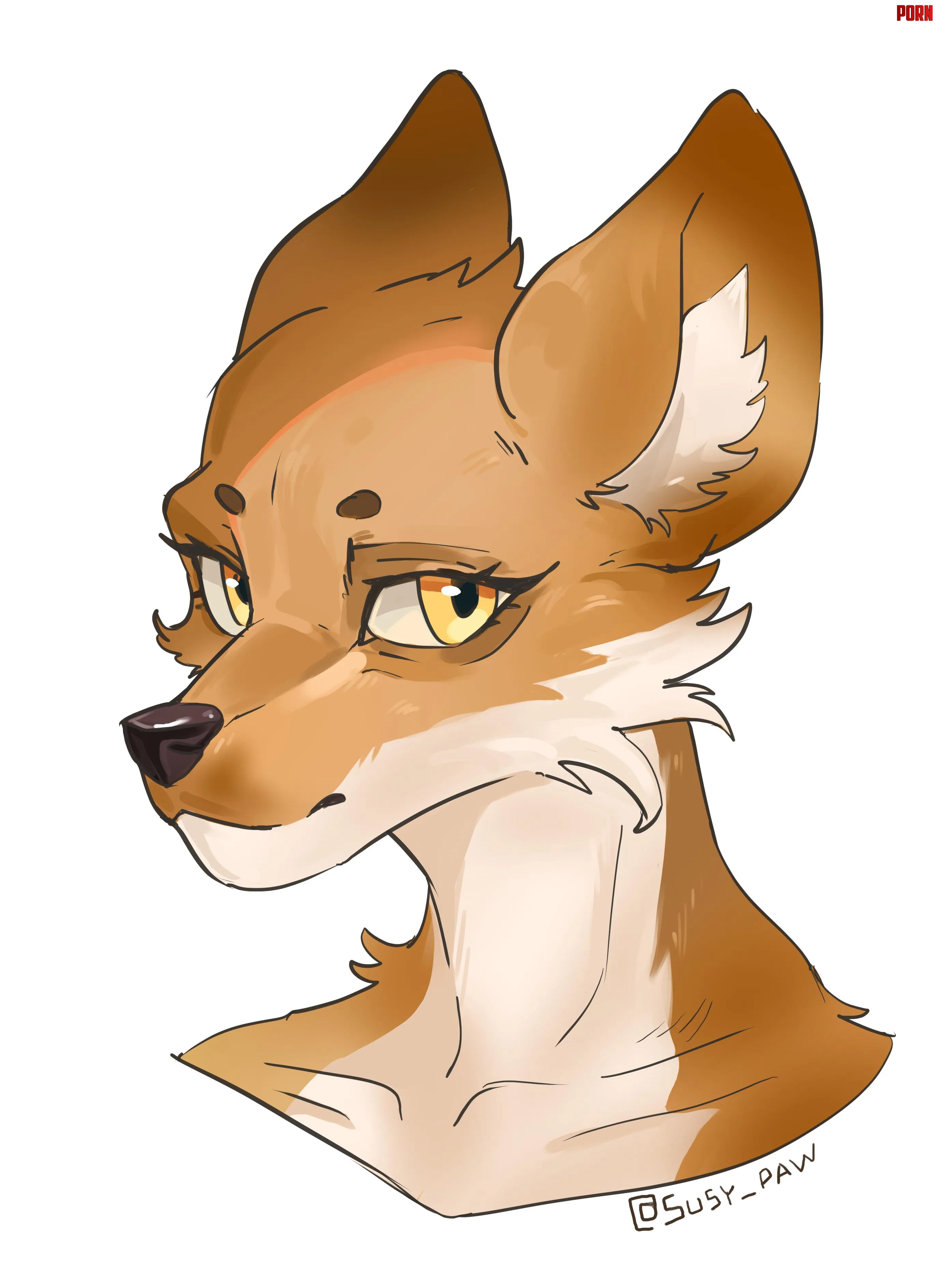 fox portrait susypaw by SusyPaw9