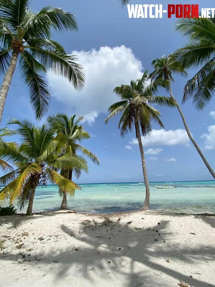 Saona islandDominican Republic by yeuxdusphynx