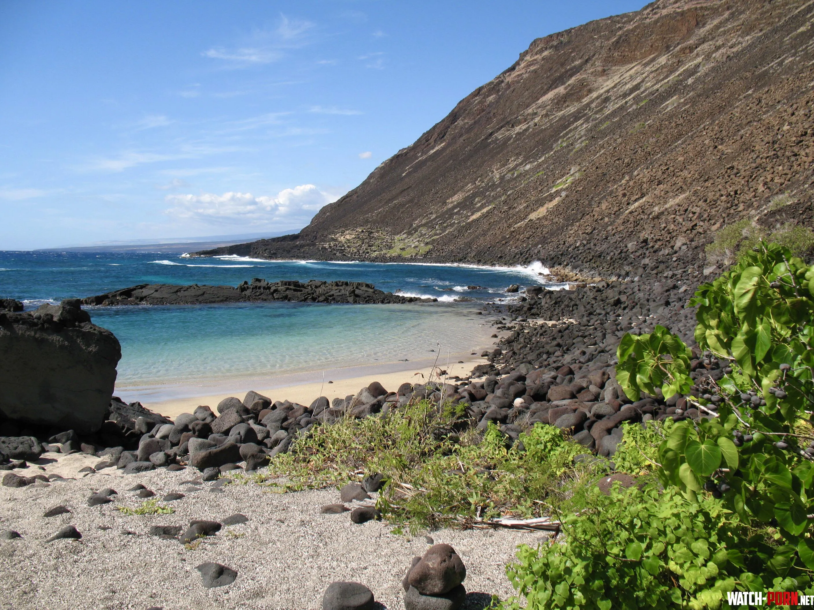 Halape beach by colapepsikinnie