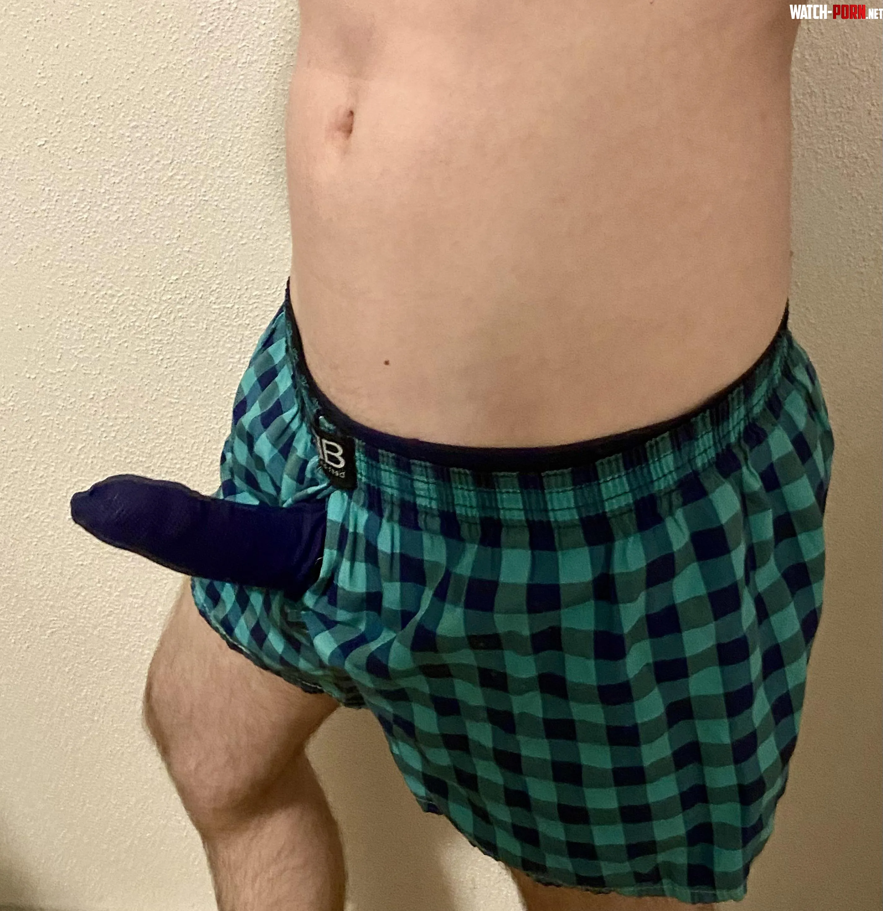 Boner in my Favorite Boxers by TheDudeinUnderwear