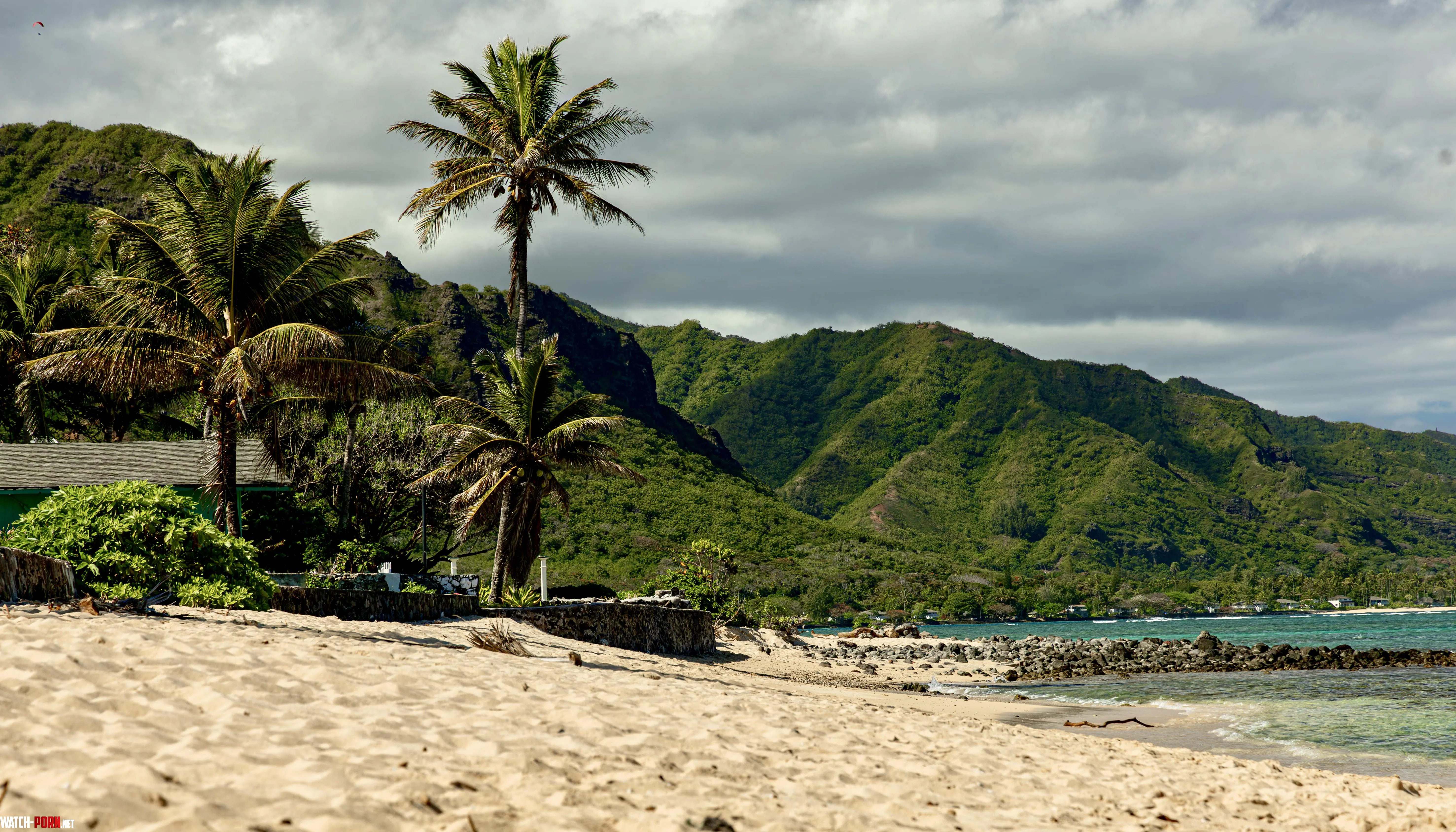 Random beach near north shore Hawaii by Billymaysdealer