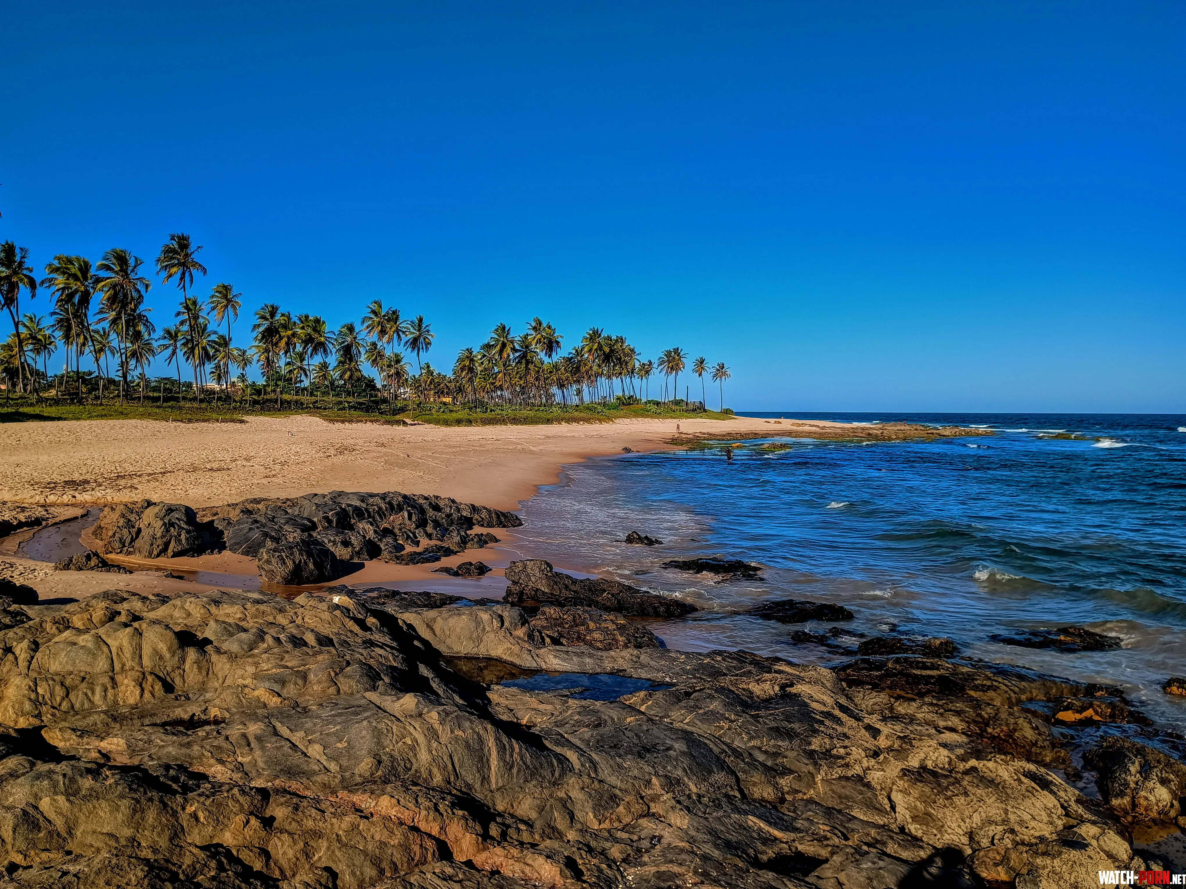 This is practically my backyard Bahia state Brazil by porra_caique