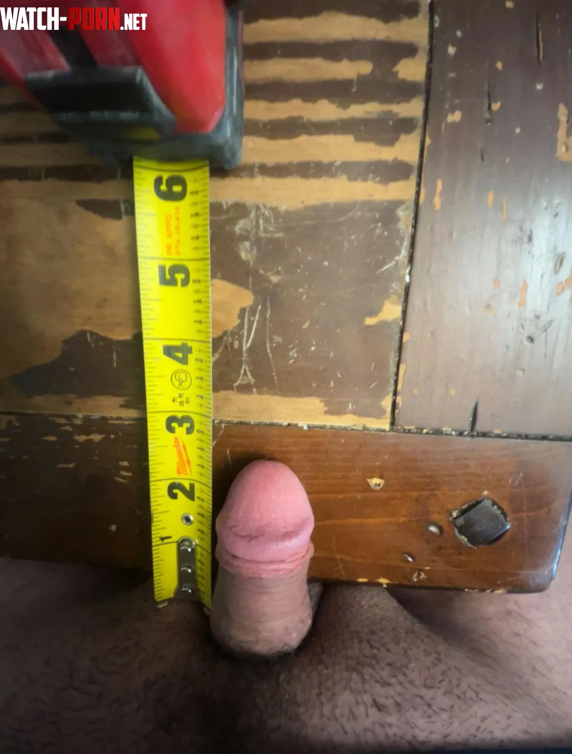 37 Straight 2 inch Micropenis by ColeyAmos