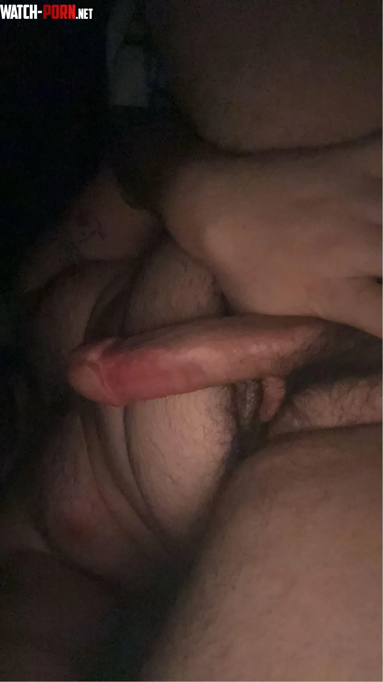 Age24 Top Cant sleep Im so horny Any ideas on how to help DMs open hairy  older  bear  daddy  muscular  by Immediate-Wait5168