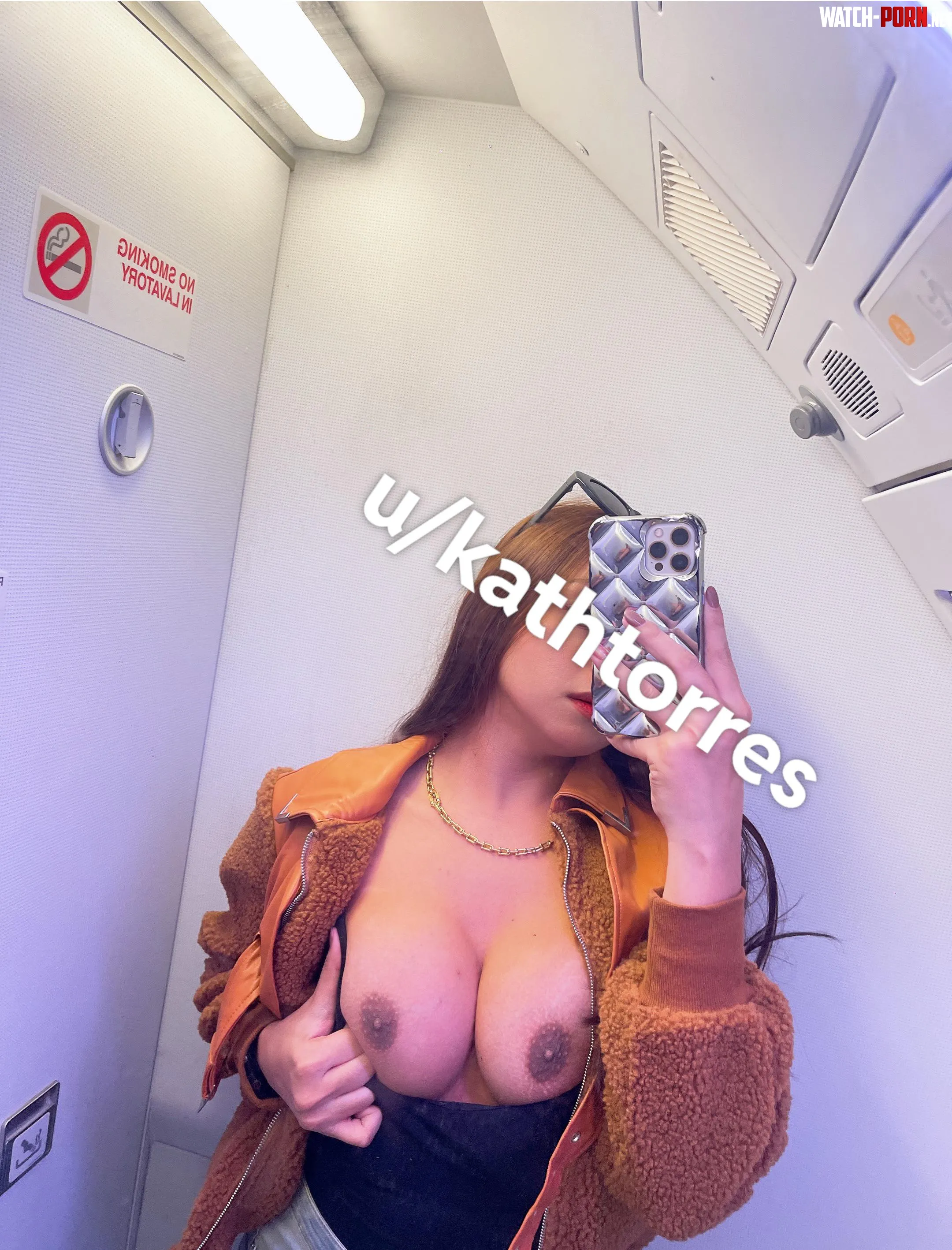 f Exhibitionist in the Airplane Lavatory by kathtorres