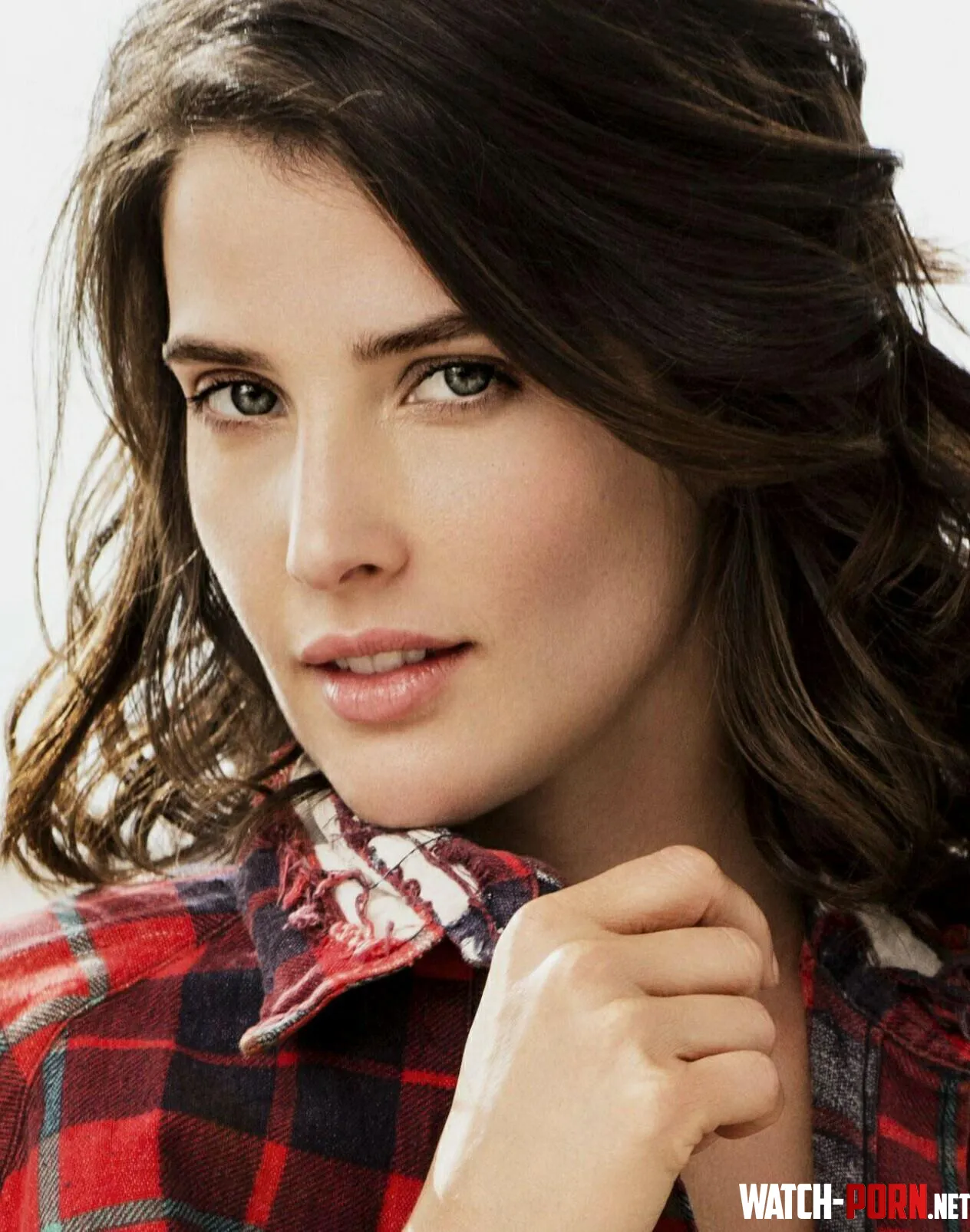 Cobie Smulders by rom003