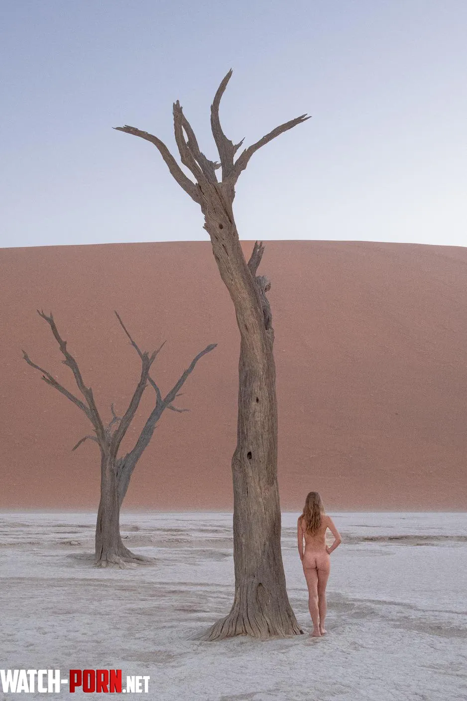 Ancient trees of Dead Vlei Namibia by JPdiaries