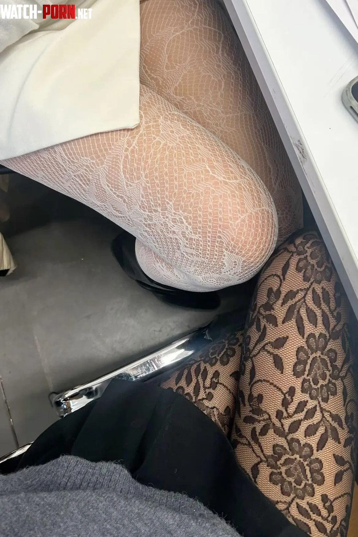 Does anyone like our tights today by xprettylittlething_x