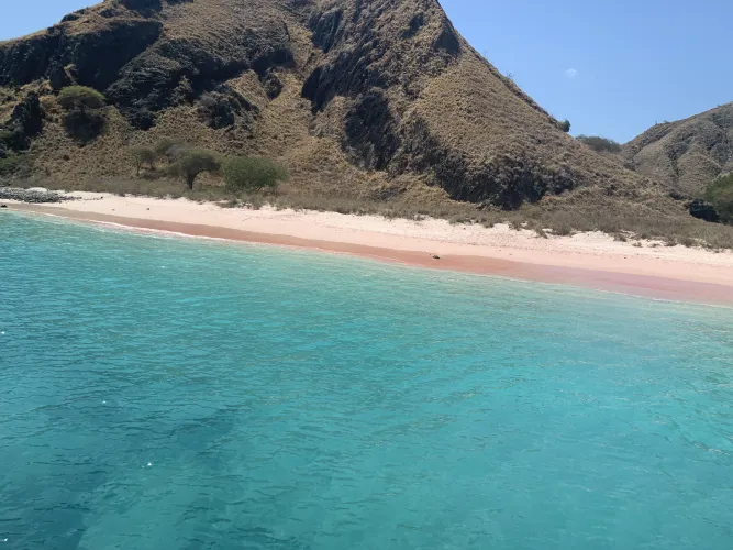 Thumbnail Pink Sand Beach Indonesia by TheUltronProgram