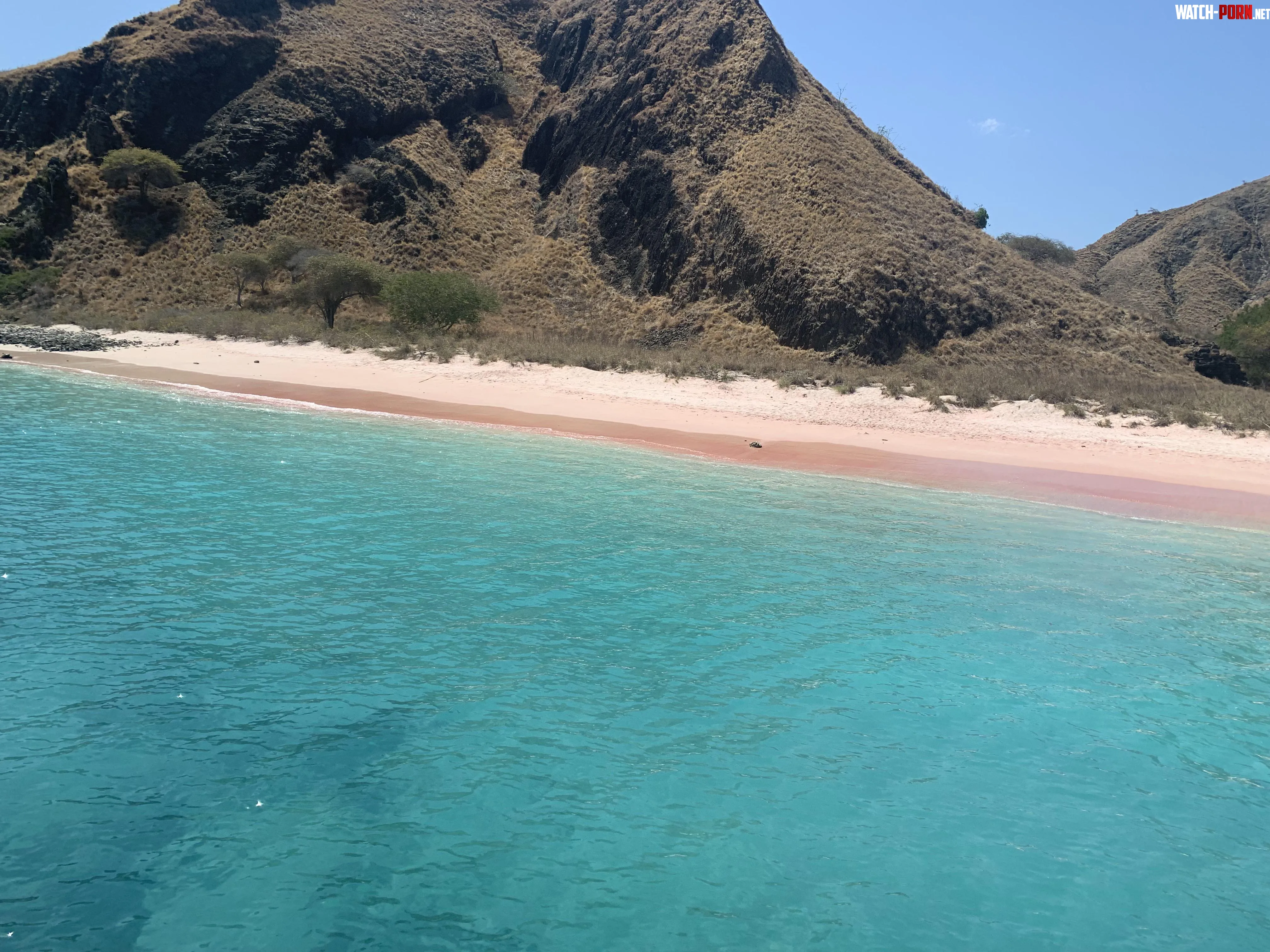 Pink Sand Beach Indonesia by TheUltronProgram