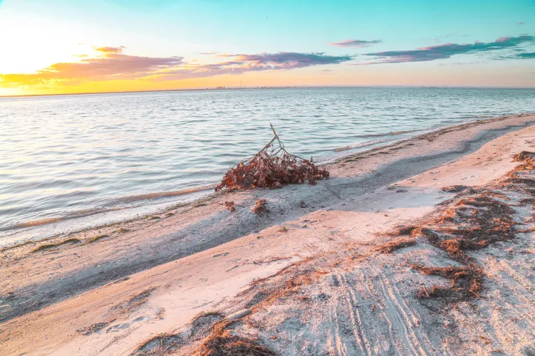 Thumbnail Beach in Tampa Florida by zefmiller