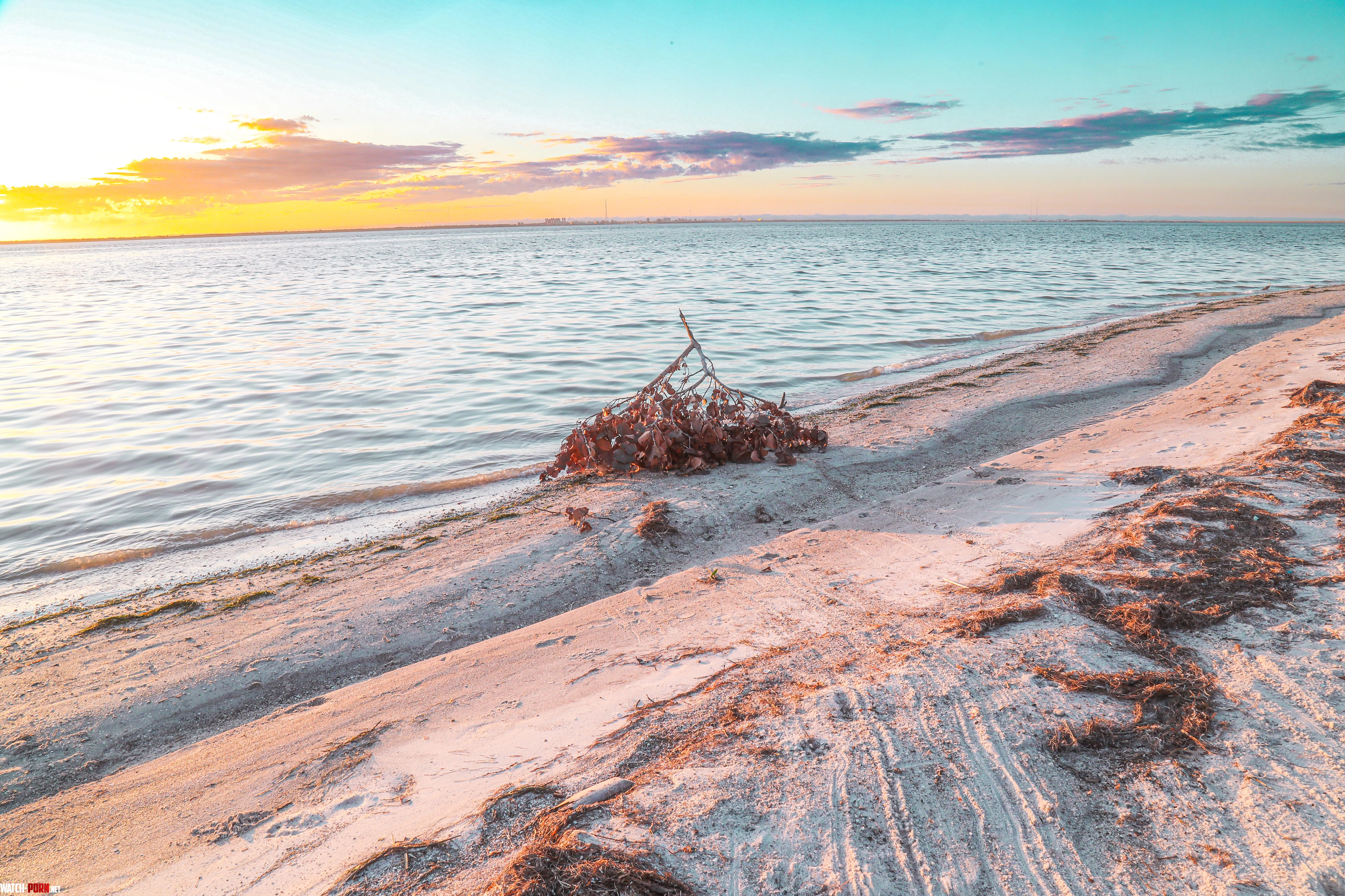 Beach in Tampa Florida by zefmiller