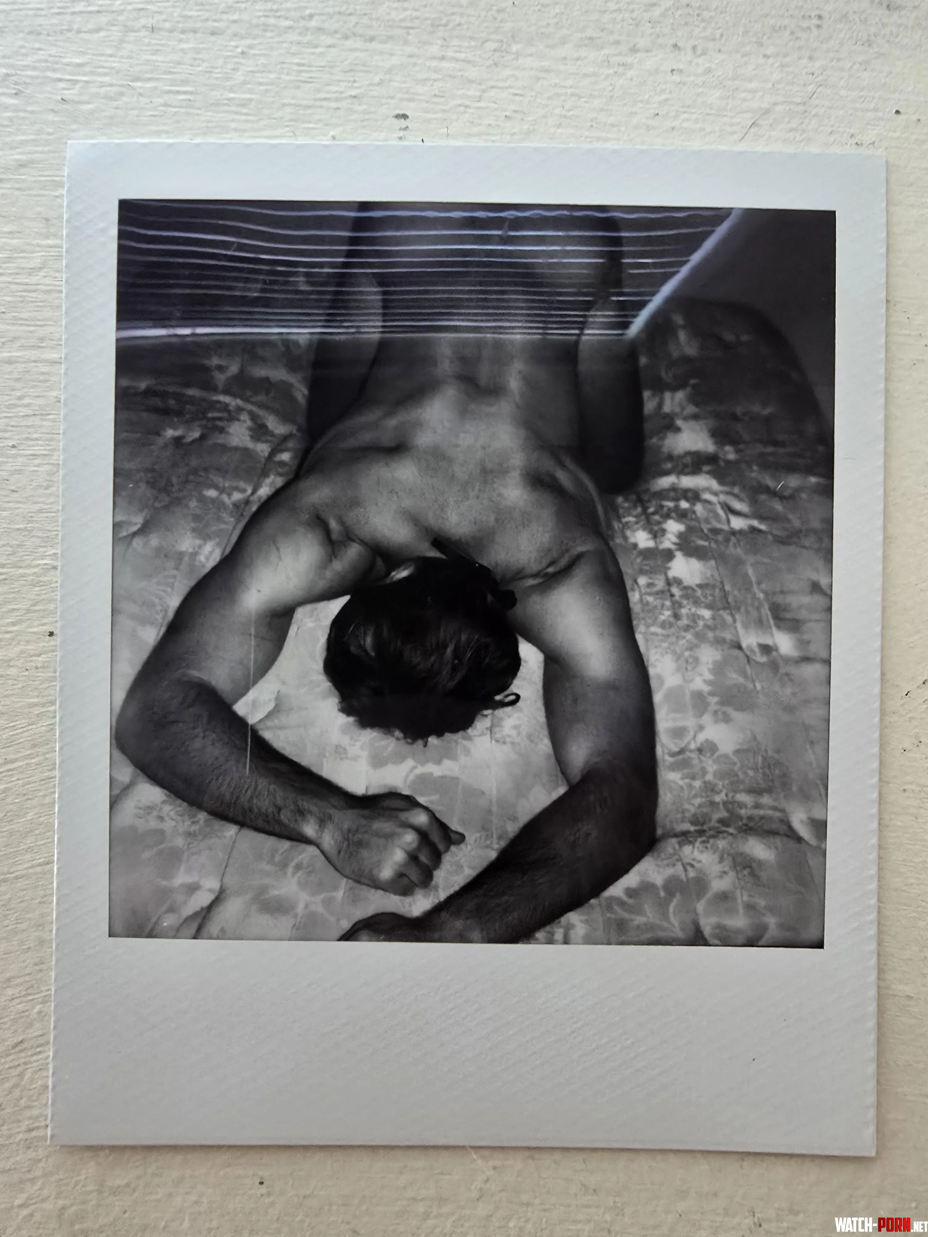 Polaroid back shots figuratively by Aerowulf_Polaroids