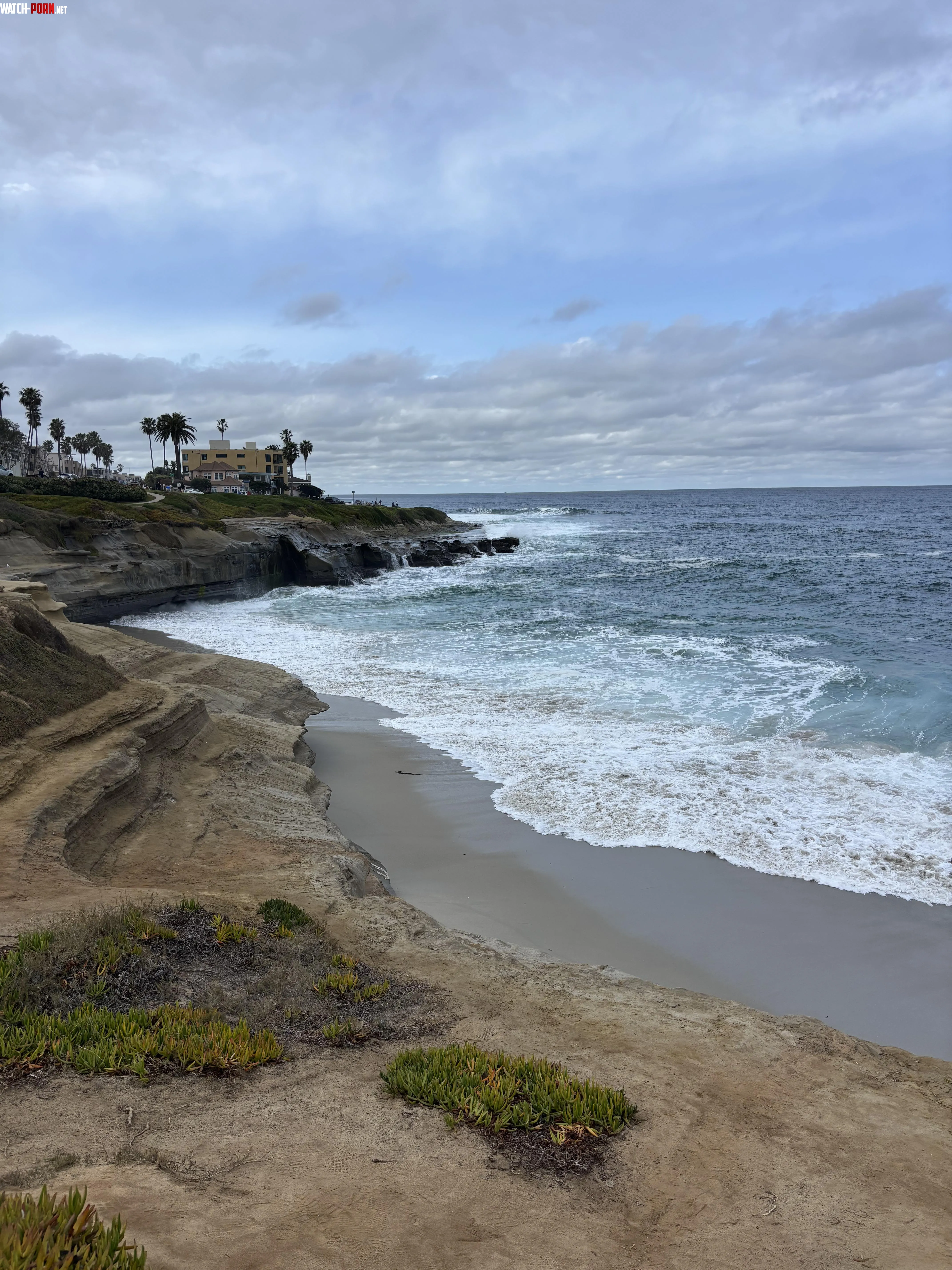 La Jolla San Diego CA by auniallergy